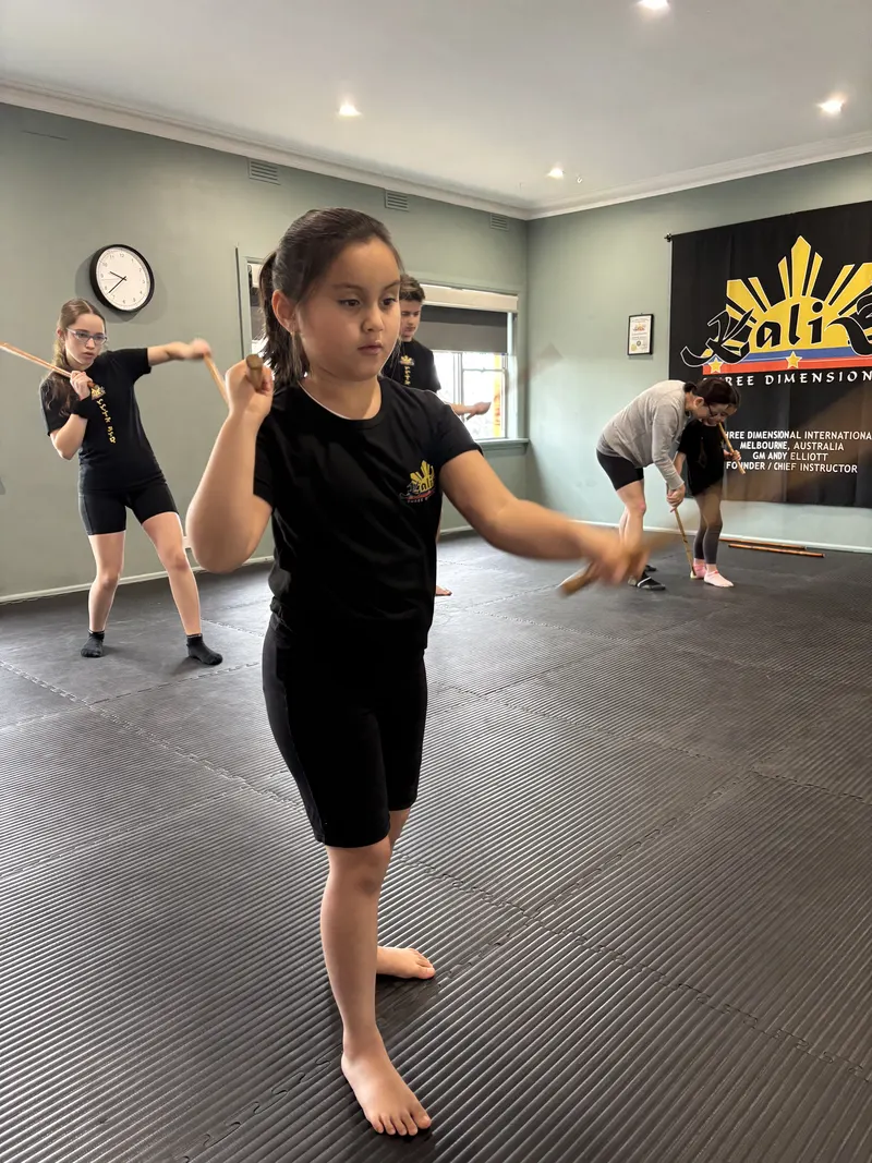 Students training Filipino Martial Arts at Kali 3D Ashburton
